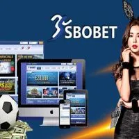 Sbobet - Nhà cái hàng đầu đa dạng sản phẩm, dịch vụ chất lượng