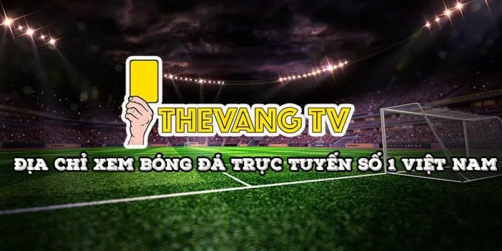 Thevang TV: Xem bóng đá trực tiếp hôm nay miễn phí - Ảnh 3