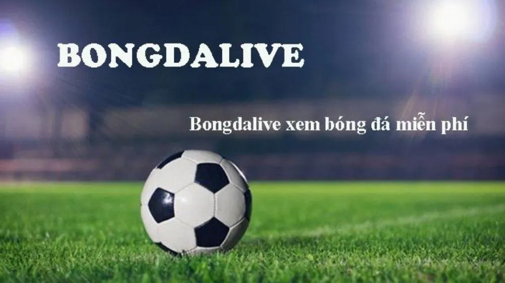 Bongdalive: Kênh phát sóng trực tiếp bóng đá chất lượng HD - Ảnh 1