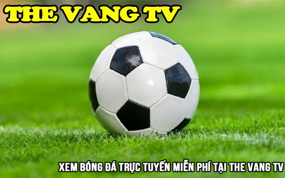 Thevang TV: Xem bóng đá trực tiếp hôm nay miễn phí - Ảnh 1