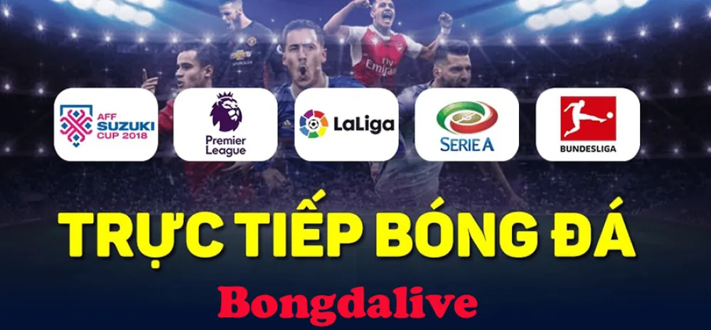 Bongdalive: Kênh phát sóng trực tiếp bóng đá chất lượng HD - Ảnh 3