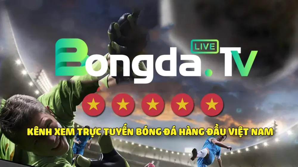 Bongdalive: Kênh phát sóng trực tiếp bóng đá chất lượng HD - Ảnh 2