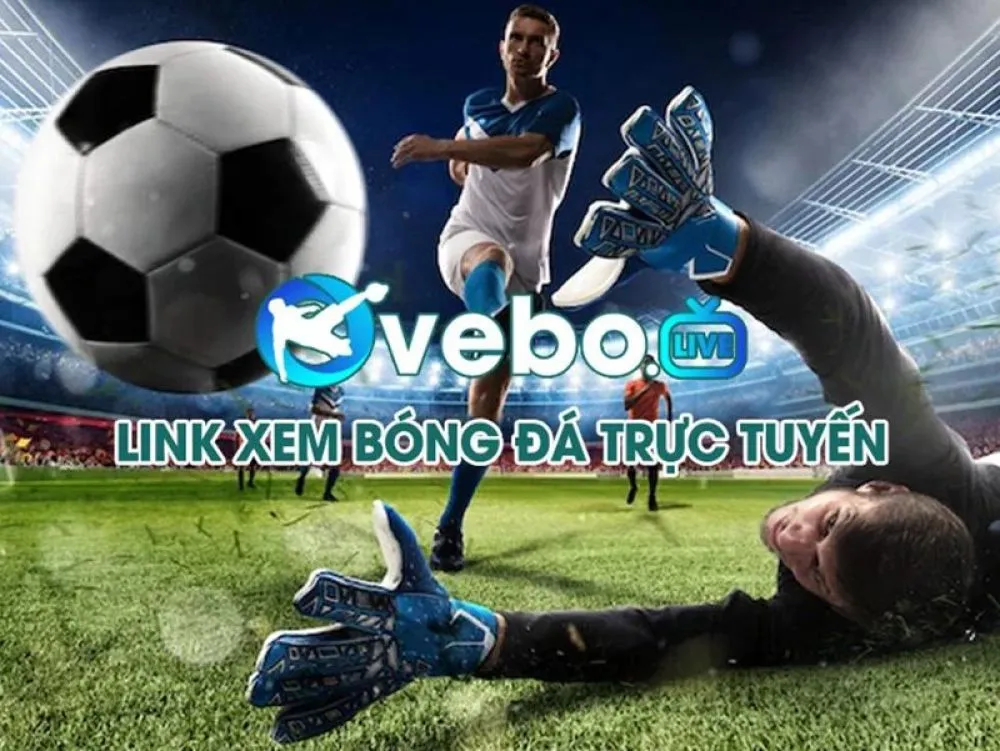 Vebo TV- Điểm đến lý tưởng dành cho Fan hâm mộ bóng đá - Ảnh 1